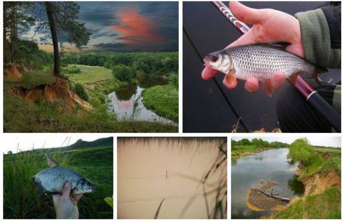 Немного о рыбалке (40 фото)
