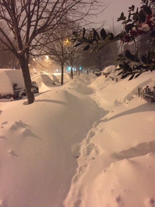 Восток США пострадал от снежной бури (42 фото)