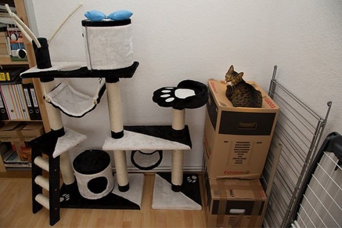 Домики для кошек и непостижимая кошачья логика (25 фото)