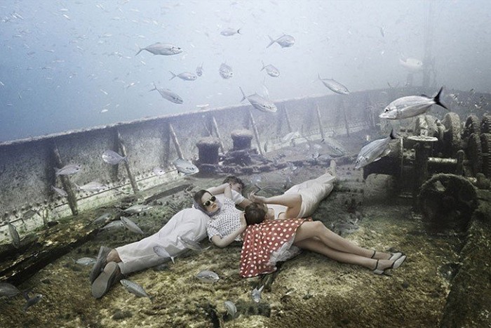 Подводный мир на затонувшем корабле (13 фото)