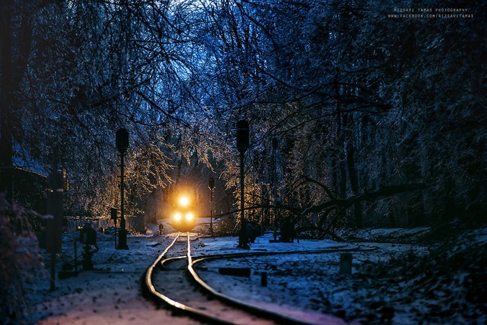 Сказочная красота зимнего леса (13 фото)